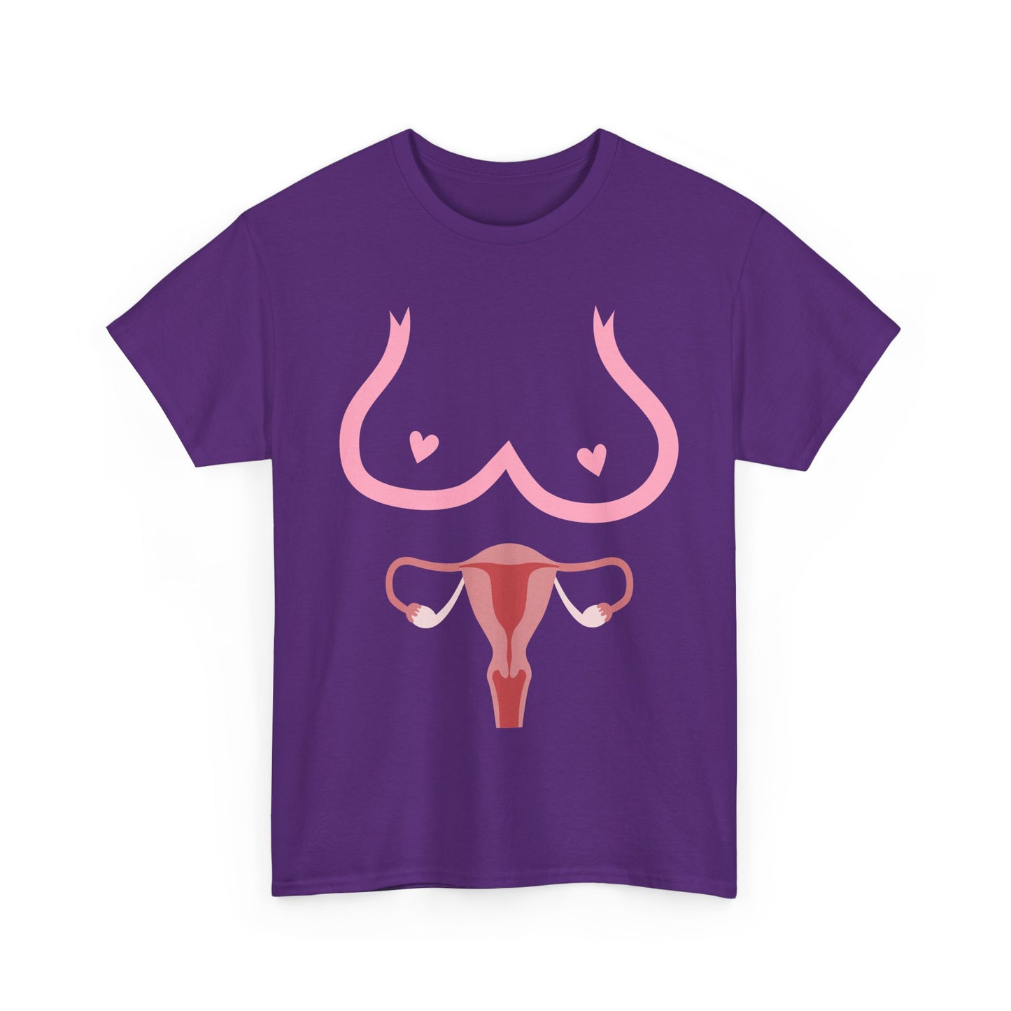 NSFA | Boobies And Vagina Inappropriate T-Shirt