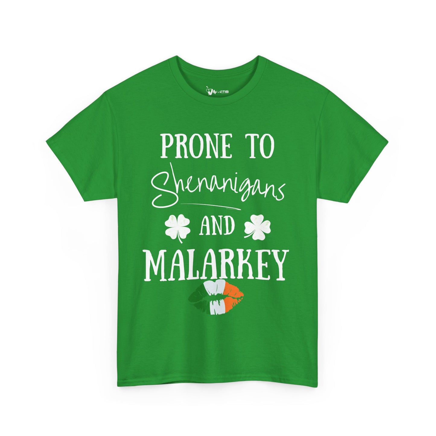 St. Paddy | Prone to Shenanigans and Malarkey T-Shirt