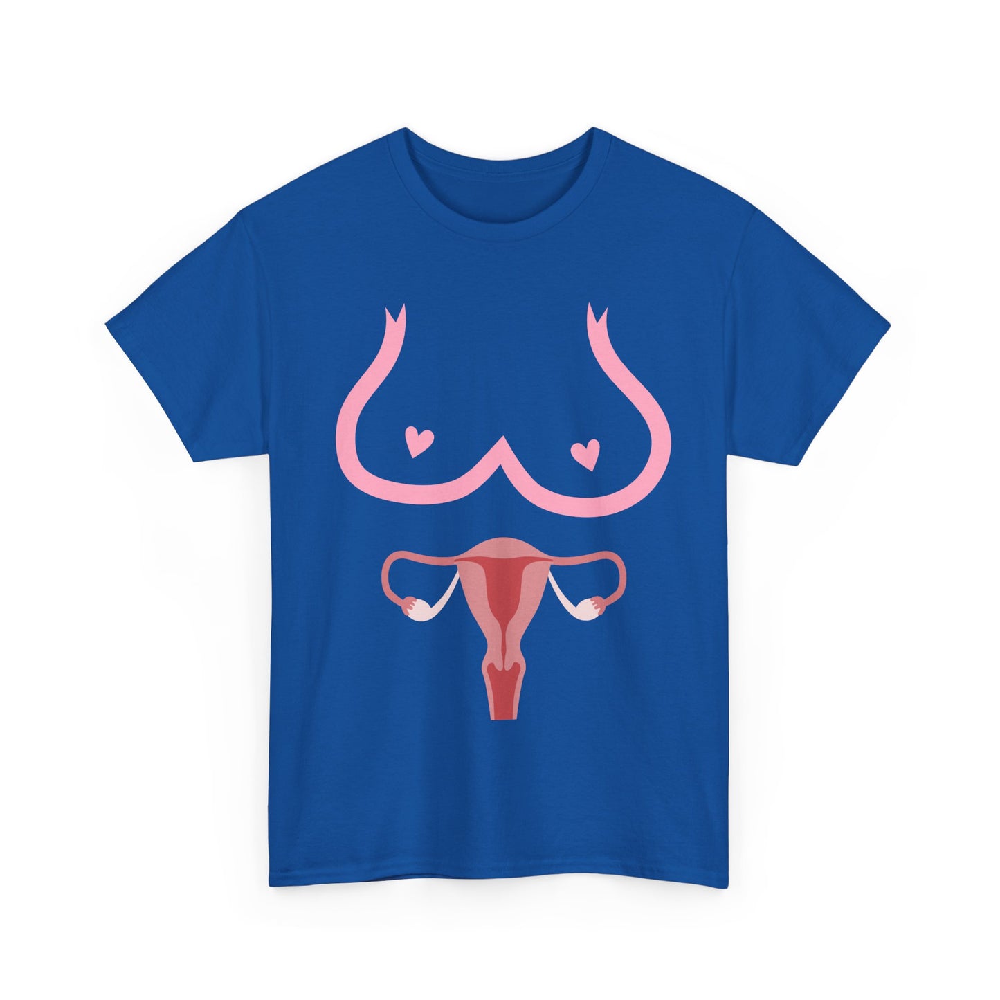 NSFA | Boobies And Vagina Inappropriate T-Shirt