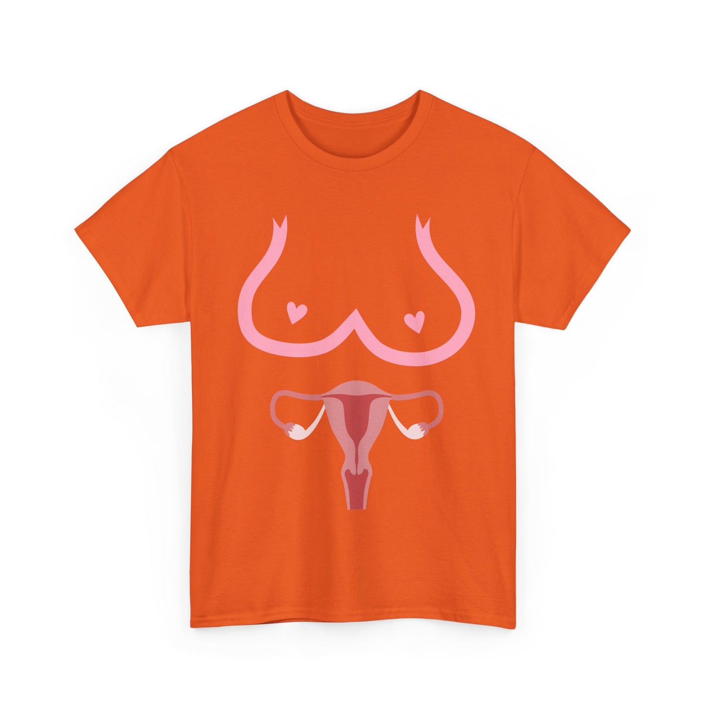 NSFA | Boobies And Vagina Inappropriate T-Shirt
