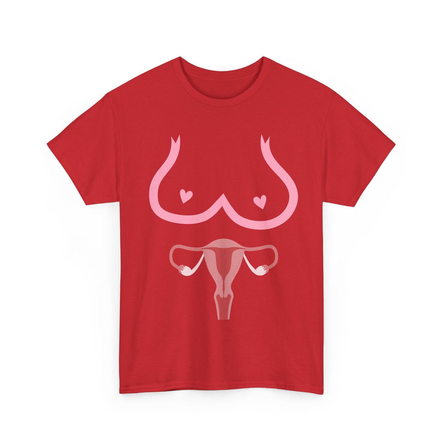 NSFA | Boobies And Vagina Inappropriate T-Shirt