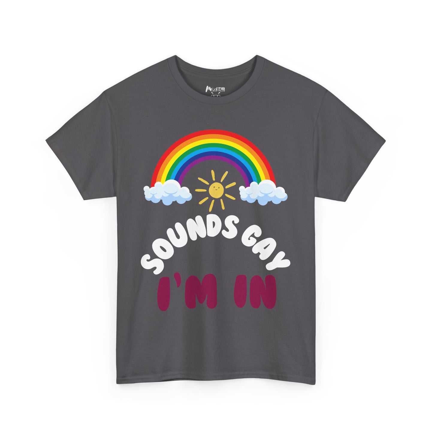 charcoal t-shirt with 'Sounds Gay. I'm in' slogan, mixing sass, humor, and unapologetic confidence