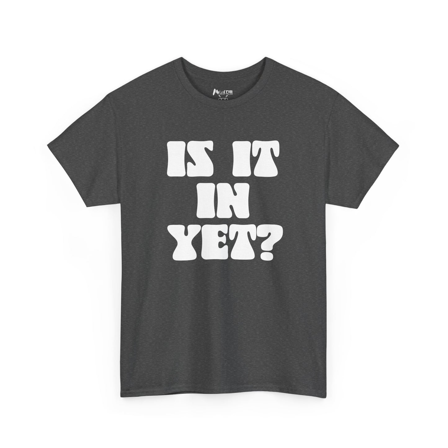 dark heather shirt teasing tiny cock size with NSFA energy